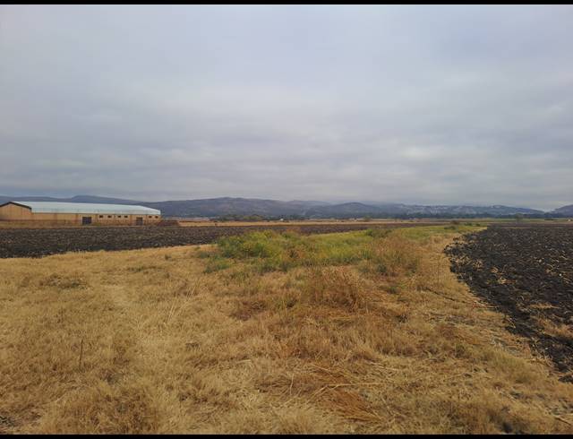 10.30HA FARM FOR SALE IN WATERKLOOF AH
